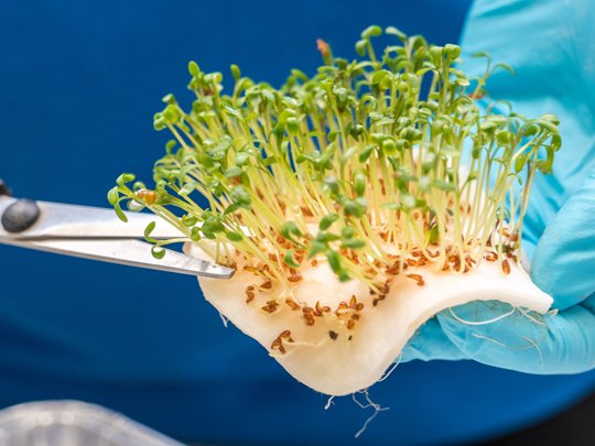 Praktika in der PAULY GROUP