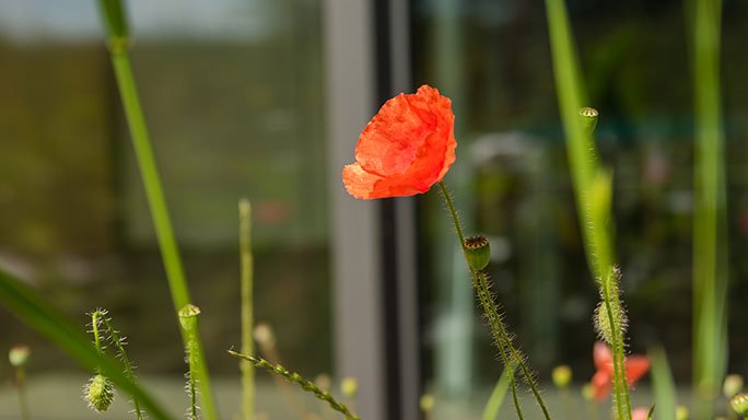 Aktuelles von der PAULY GROUP