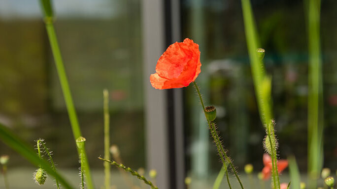 News aus der PAULY GROUP