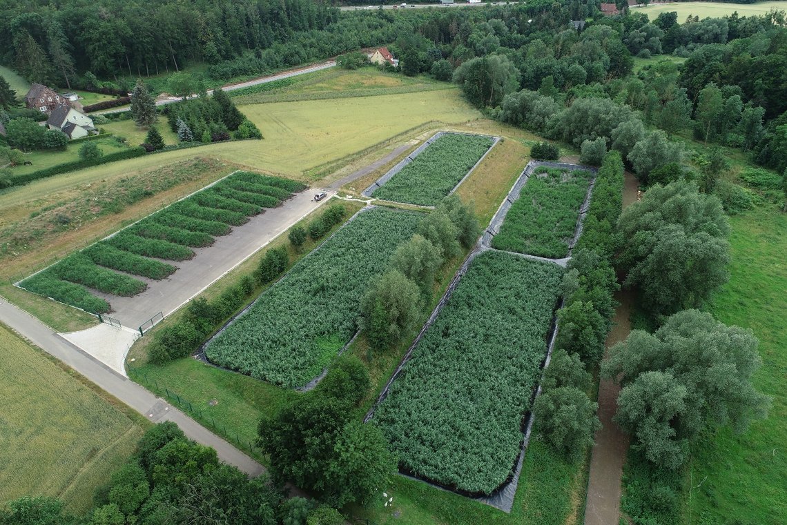 Langfristige Entsorgung und Verwertungssicherheit von Klärschlamm