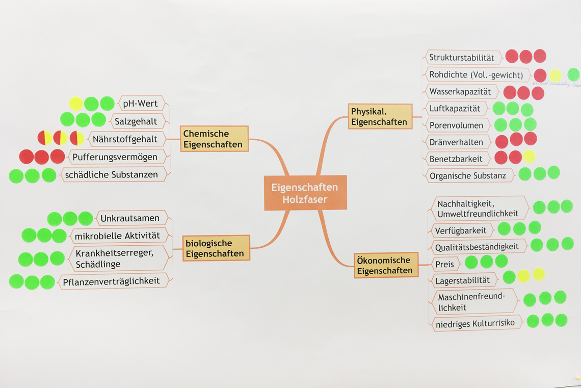 Eigenschaften Holzfaser - Grafik