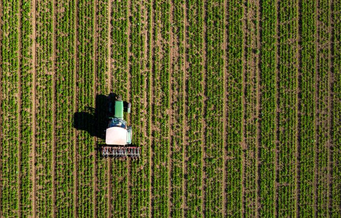 Landwirtschaftliche Verwertung der Klärschlammerde