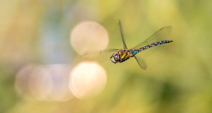 Mission & Werte der PAULY GROUP