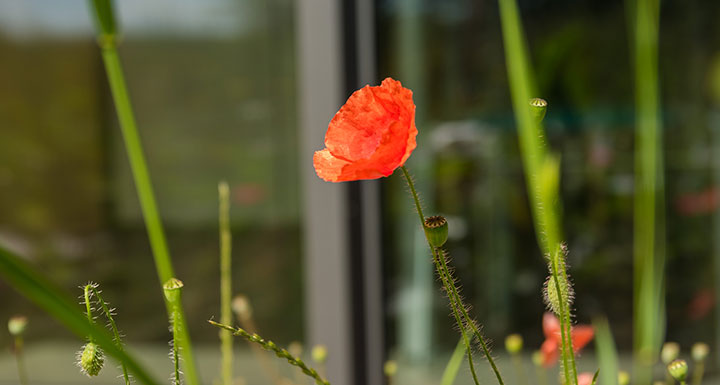 Neuigkeiten aus der PAULY GROUP