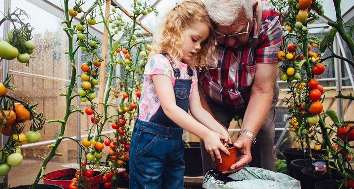 Deine Karriere bei der PAULY GROUP