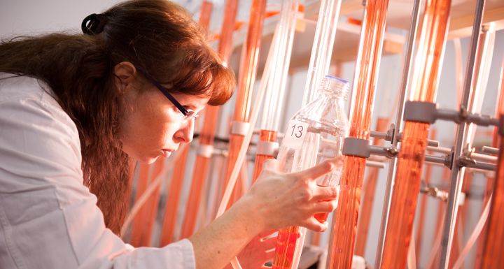 Analytik von PLANCO-TEC